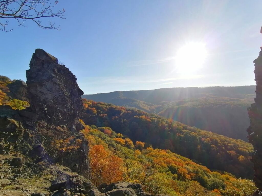 Lektorat Waldeule Aussicht in der Nähe von Budapest